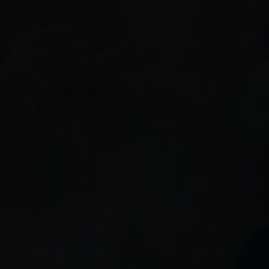 Meet your Posher, Gunnar